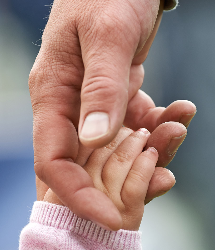 Derecho penal, familiar, administrativo....